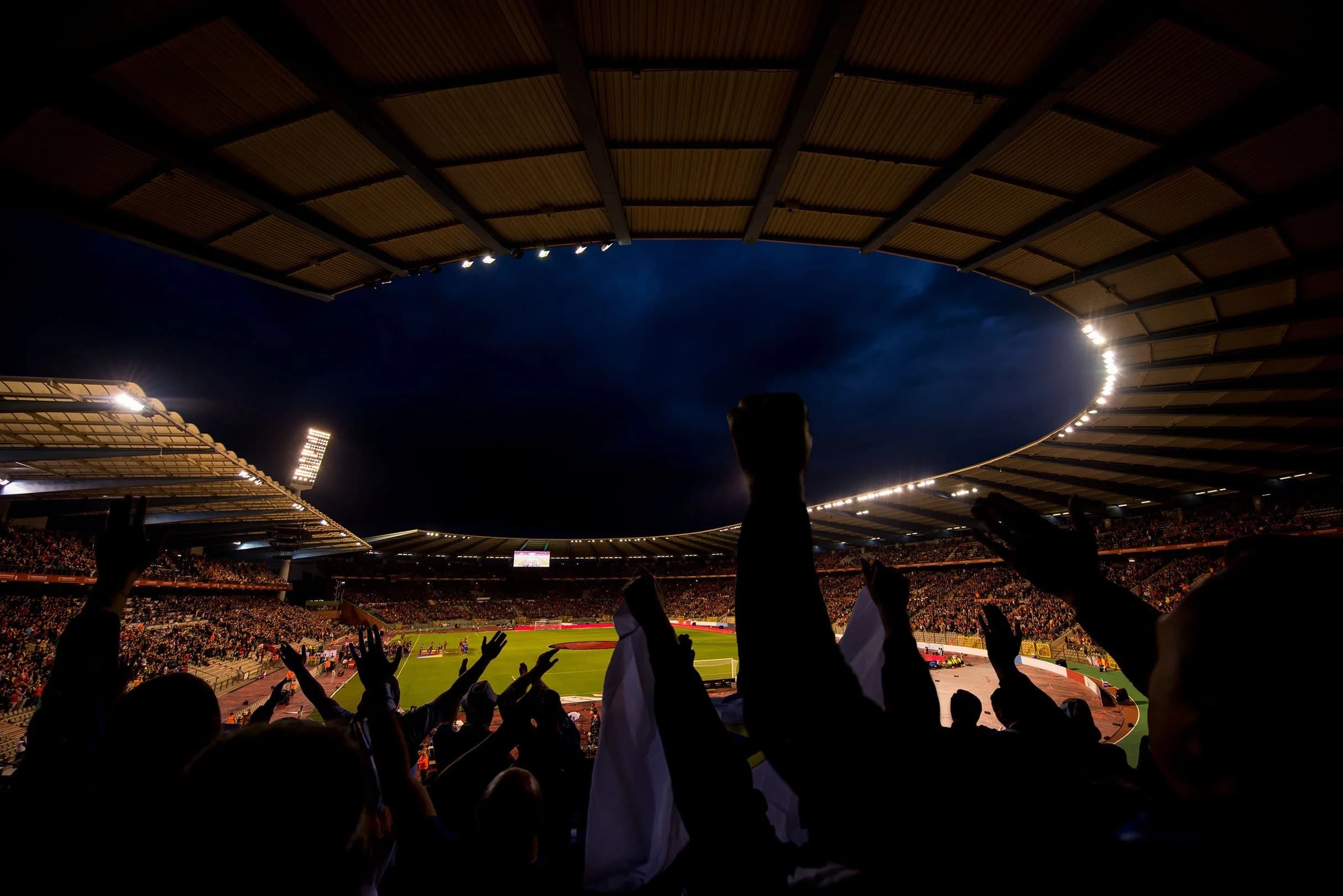 Fans cheering at a packed stadium